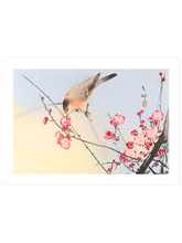 Ohara Koson N15 - Art Print